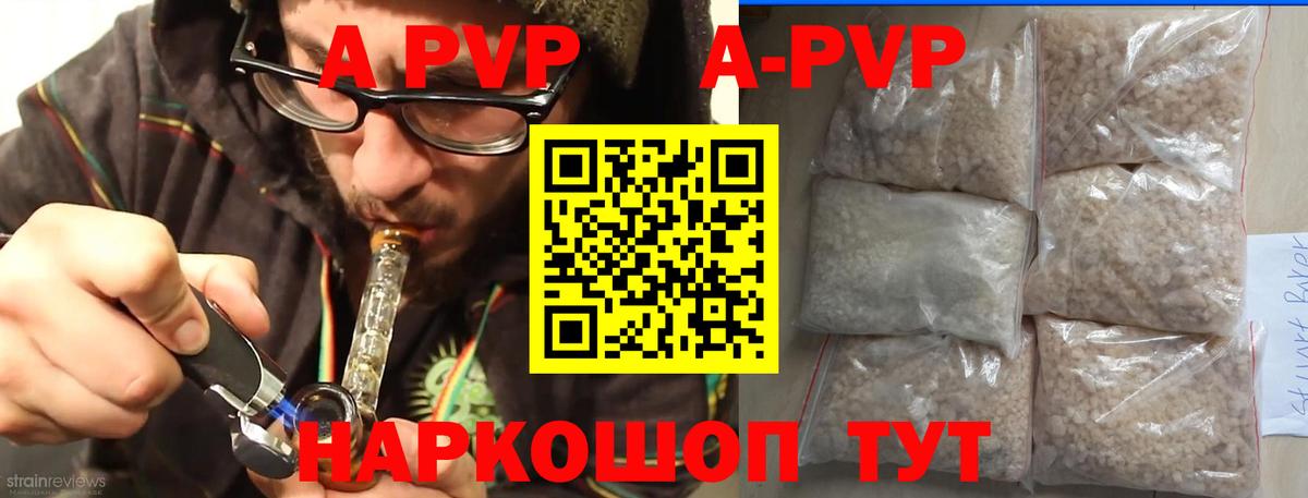 A PVP СК  A PVP СК КРИС  Вход с VPN  Альфа ПВП  Сыктывкар 
